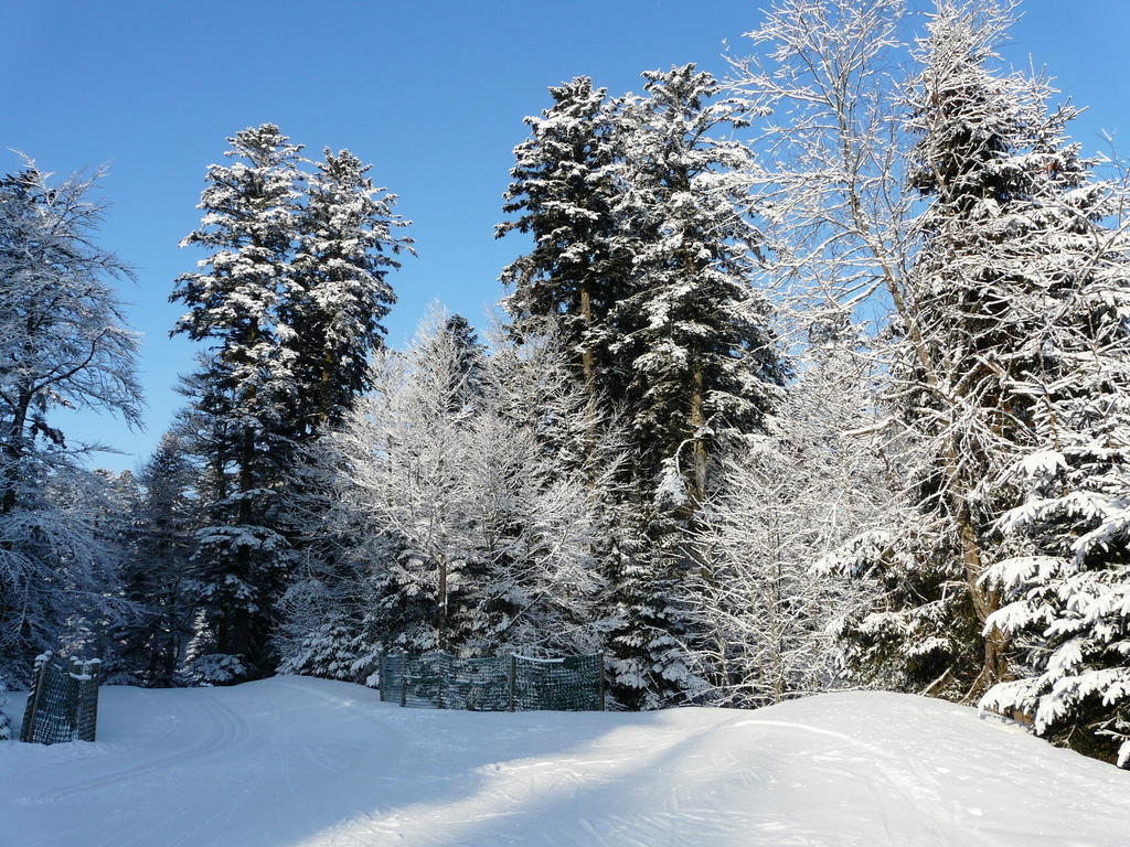 Chalet Les Sapins Argentes Gérardmer Zimmer foto
