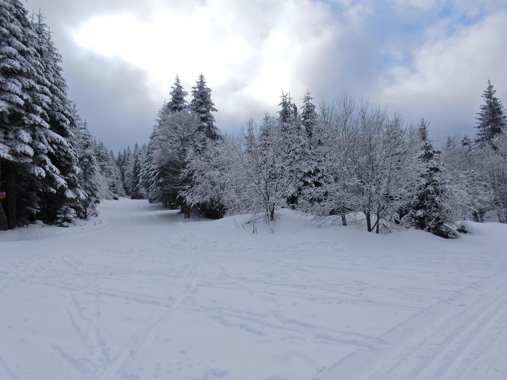 Chalet Les Sapins Argentes Gérardmer Exterior foto
