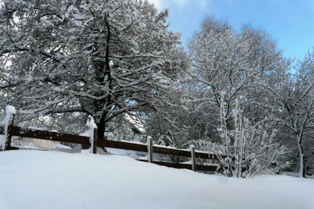 Chalet Les Sapins Argentes Gérardmer Exterior foto