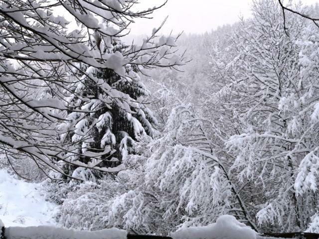 Chalet Les Sapins Argentes Gérardmer Zimmer foto
